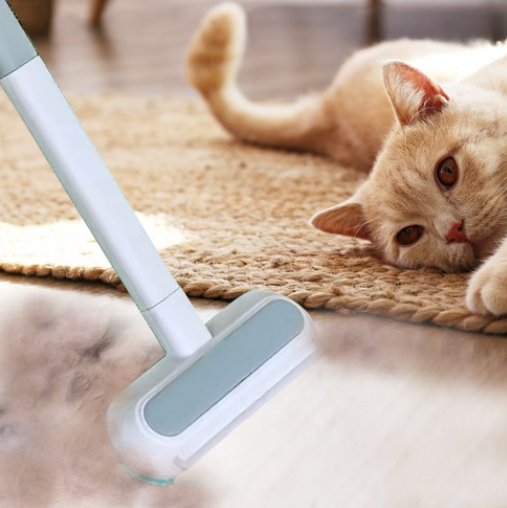 고양이 강아지 털 제거 브러쉬